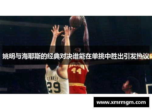姚明与海耶斯的经典对决谁能在单挑中胜出引发热议