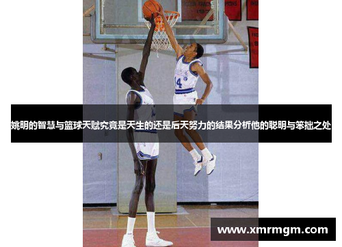 姚明的智慧与篮球天赋究竟是天生的还是后天努力的结果分析他的聪明与笨拙之处