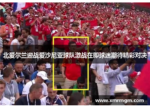 北爱尔兰迎战爱沙尼亚球队激战在即球迷期待精彩对决