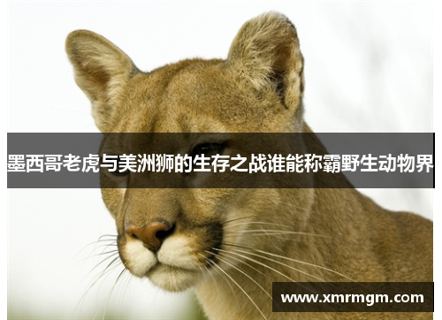 墨西哥老虎与美洲狮的生存之战谁能称霸野生动物界